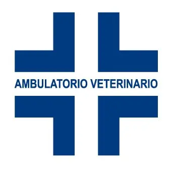 Cane randagio torturato con filo di ferro
