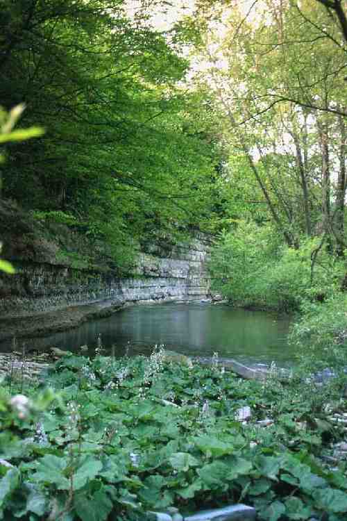 Portico: si tuffa nel fiume, sbatte sulla roccia e muore