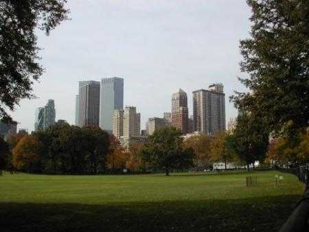 Central Park: si spezza un ramo, muore bimbo di 6 mesi