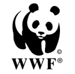 Vibo Valentia: WWWF salva numerosi uccelli selvatici
