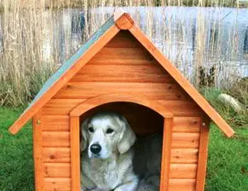 Nasconde la droga nella cuccia del cane: arrestato