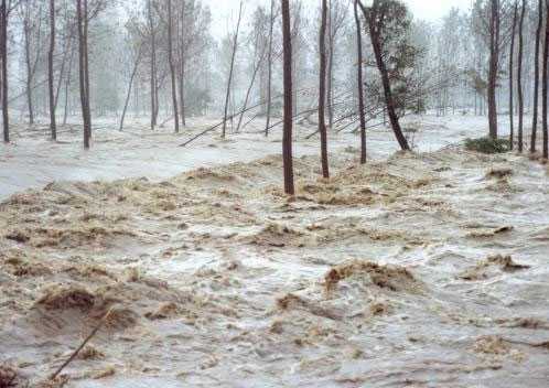 Alluvioni a sud della Francia. 15 morti e alcuni dispersi