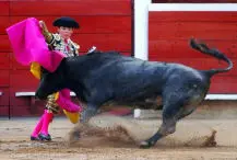 Baby Matador di 13 anni: Paura per Michelito, ferito