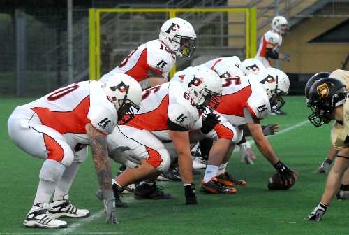 Sport:I Puma svegliano i Predatori