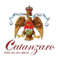 D'Errico: consuntivo delle attività svolte