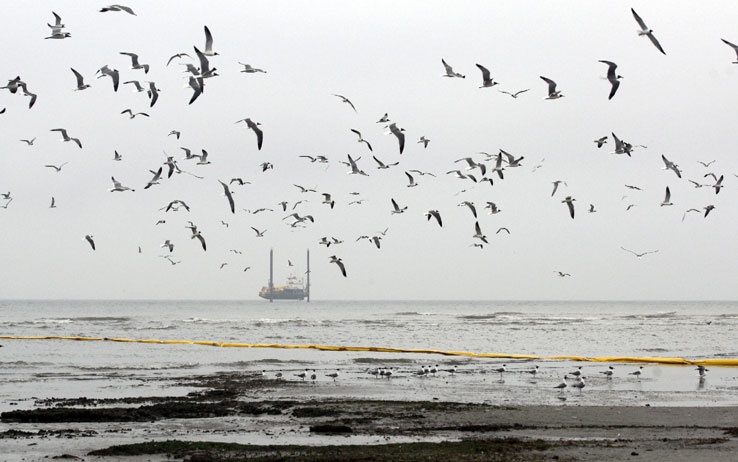 Marea nera : Bp finanzierà progetto americano per arginare il fenomeno