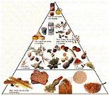 Toscana: 21 scuole partecipano ad un concorso per una corretta alimentazione