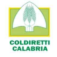 Calabria:1600 giovani scommettano sul futuro