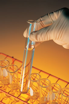 "Cellula sintetica": primo passo per rivoluzione biologica