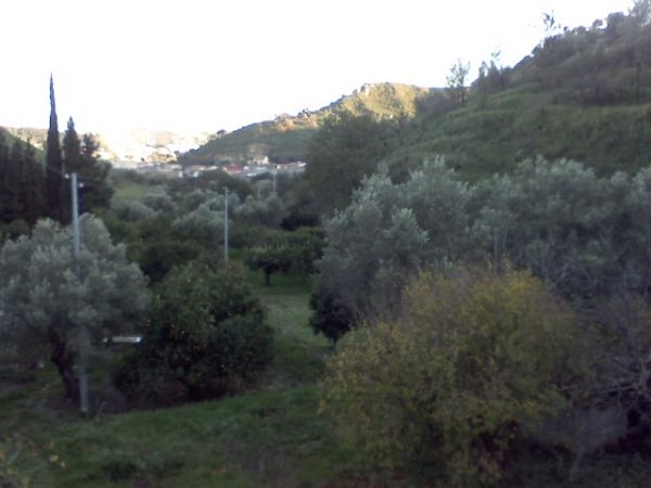 Isola Capo Rizzuto: Nei terreni confiscati, tanta legalità