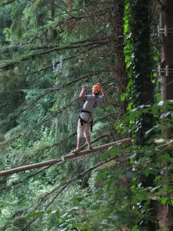 Riapre il "Parco Avventura" della Sila Piccola