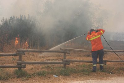 Incendio di vaste proporzioni nella zona Nord di Catanzaro