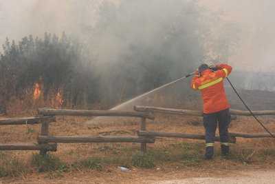 Incendio di vaste proporzioni nella zona Nord di Catanzaro