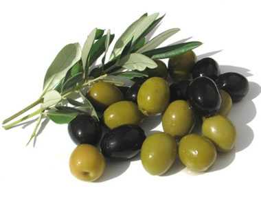 La Calabria presente al SOL, fiera dell'olio d'oliva.
