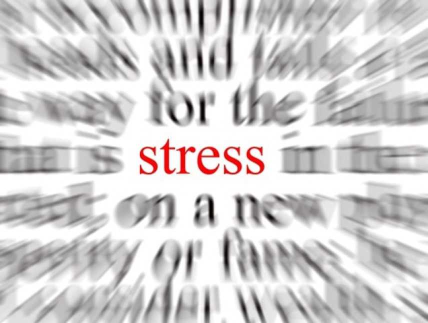 Stress da lavoro correlato, sintomi e trattamento. Ne parliamo con lo psicologo Andrea Zammitti 