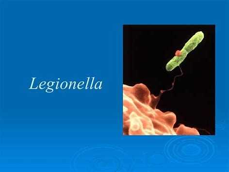 Caso Legionella: batterio in torri di raffreddamento di aziende