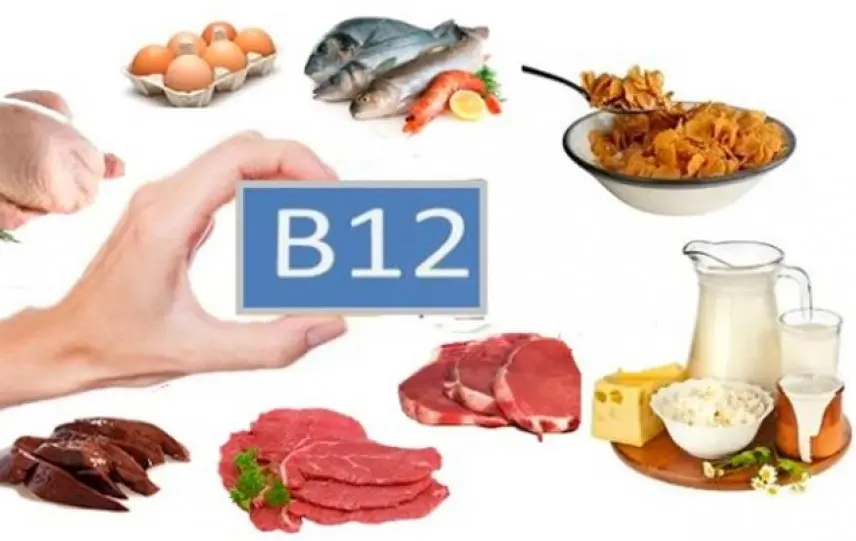 La Vitamina B12: proprietà, benefici e carenze