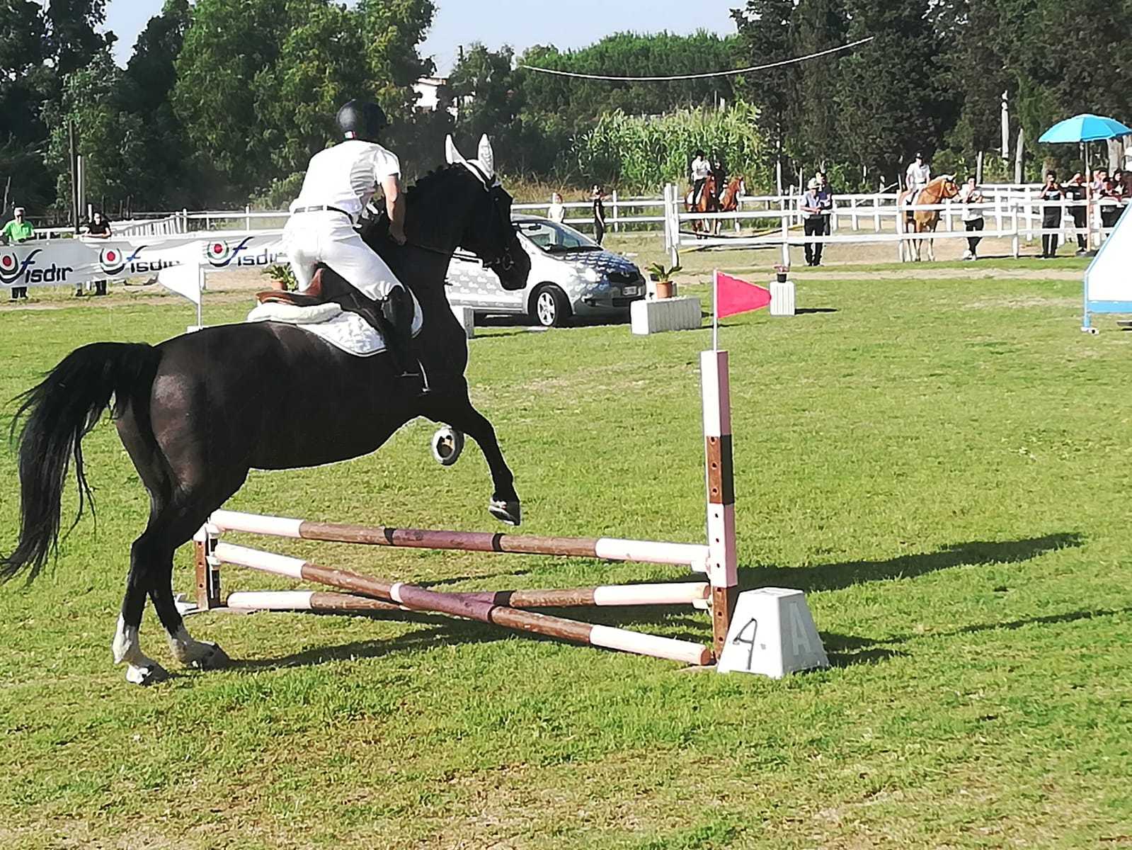 CIP Sardegna: ad Oristano i Campionati Italiani di Equitazione FISDIR
