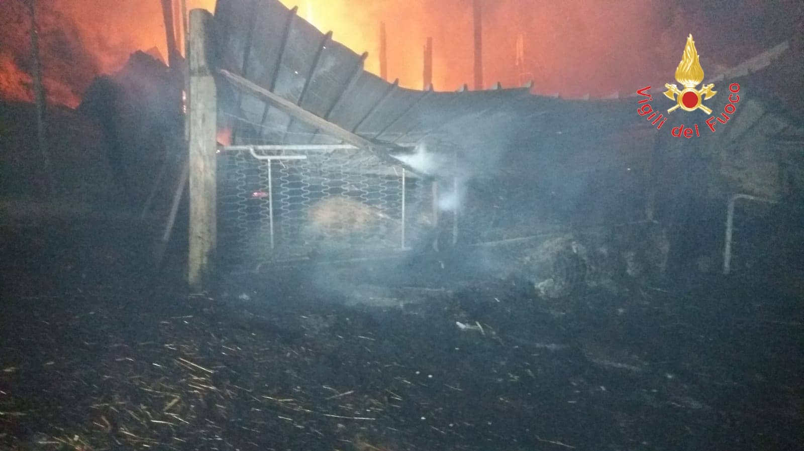 Sersale (CZ), incendio a capannone per ricovero animali: ovini carbonizzati. Intervengono i VVF