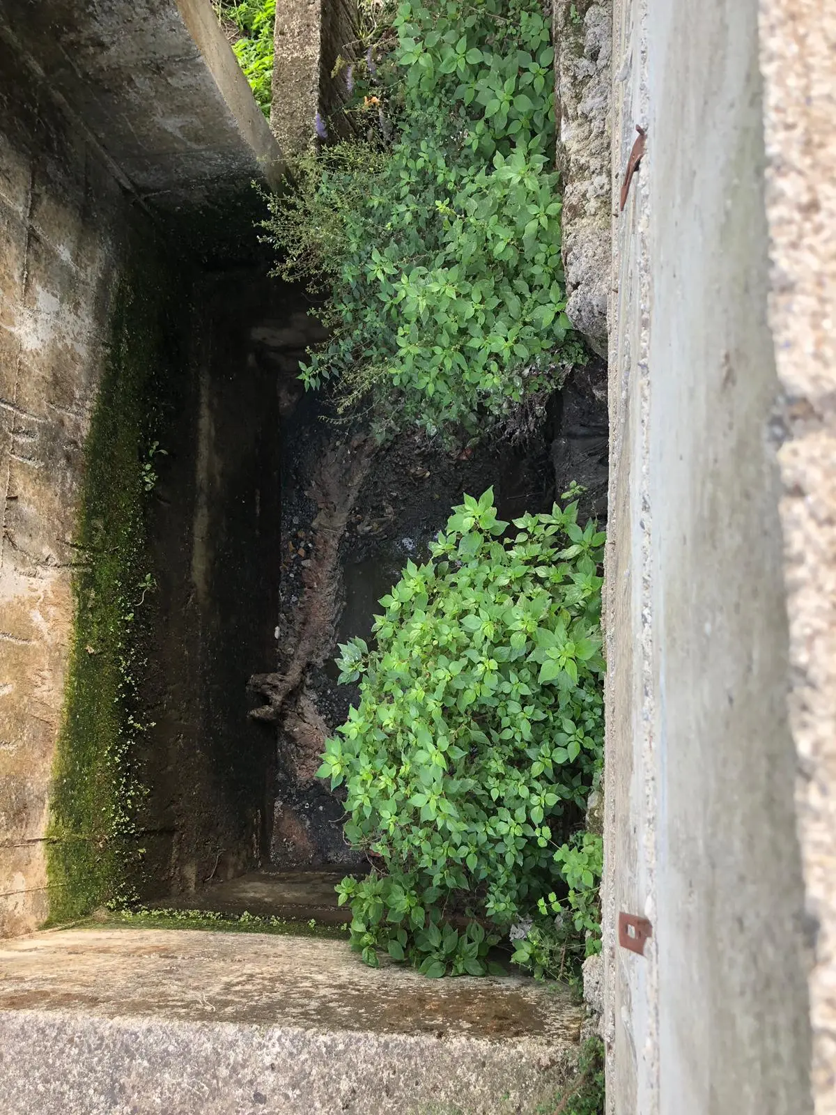 Celia “a Vincenzale  regna il degrado e l’abbandono dell’istituzione locale”