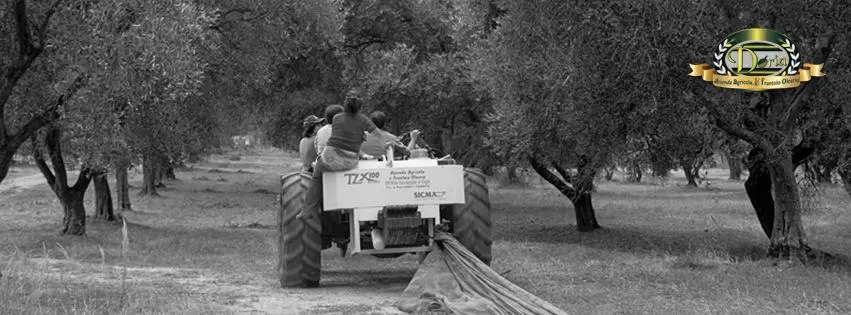 Frantoio Doria, un simbolo per Catanzaro e la Calabria