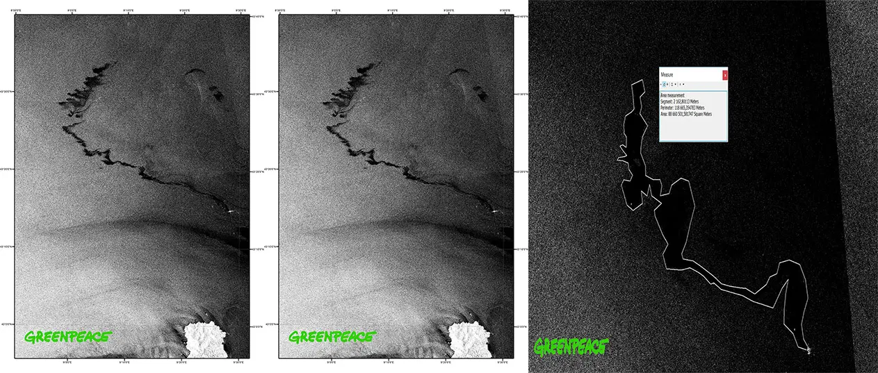 Greenpeace “immagini satellitari” Collisione navi nel santuario dei cetacei