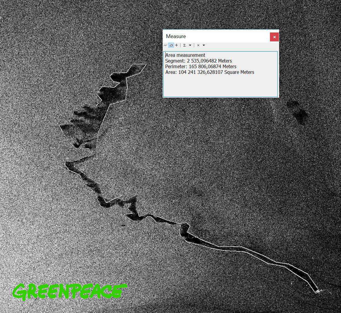 Greenpeace “immagini satellitari” Collisione navi nel santuario dei cetacei