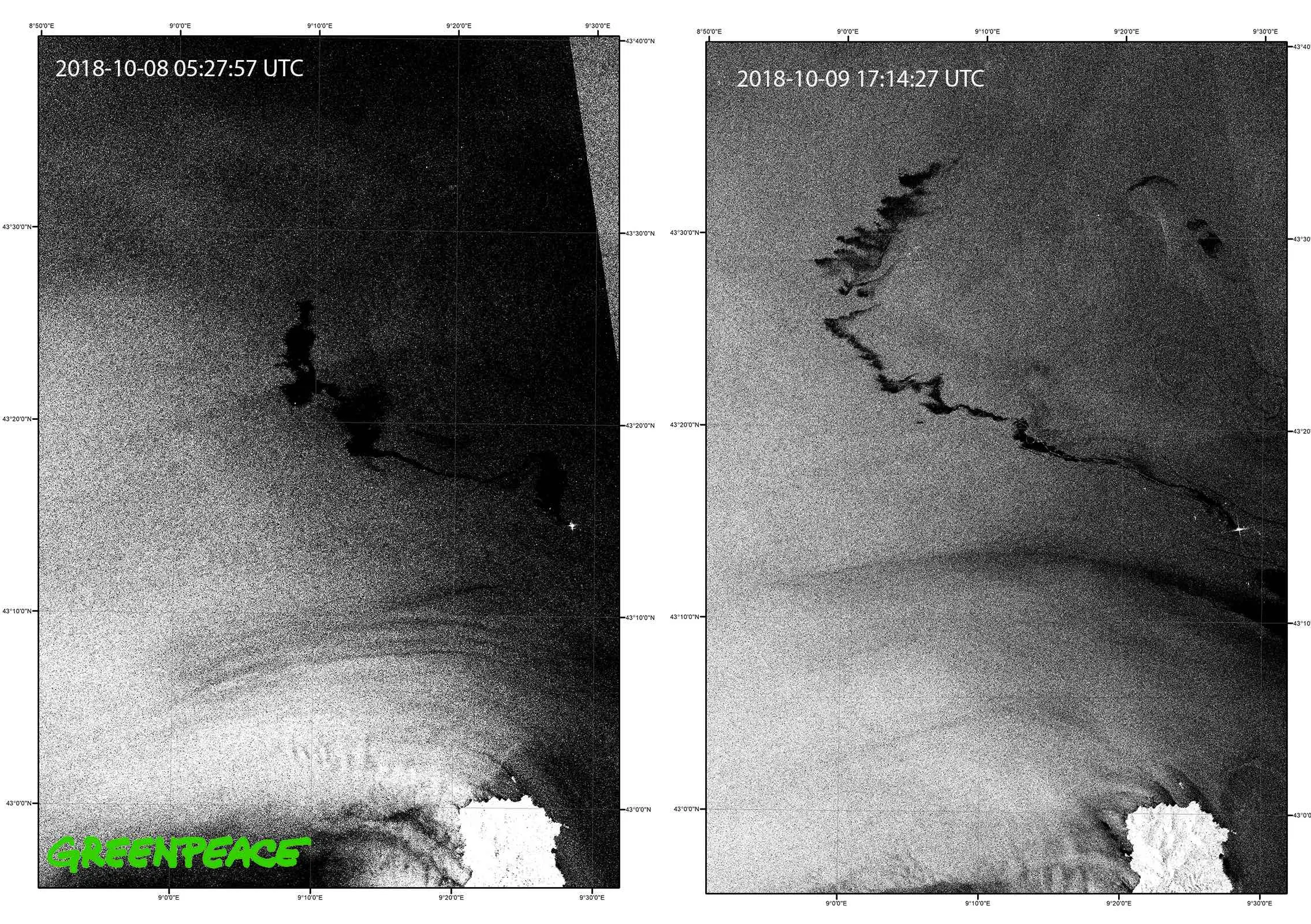 Greenpeace “immagini satellitari” Collisione navi nel santuario dei cetacei