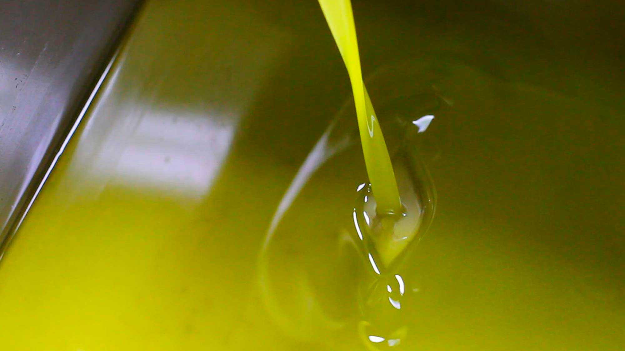 Sequestrate nel catanzarese 5 tonnellate di olio d'oliva