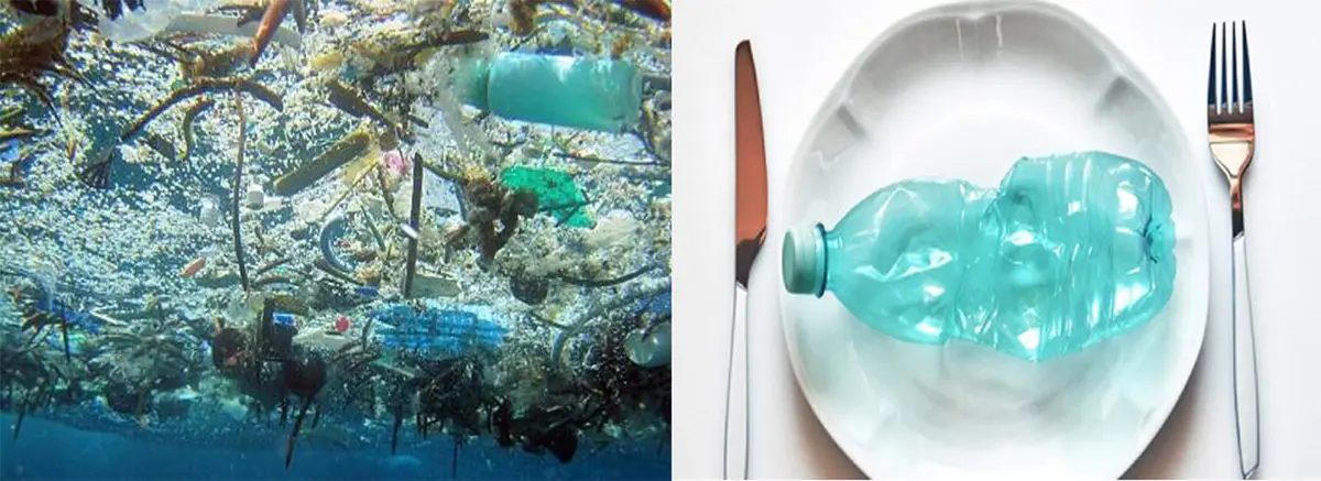 La microplastica nel sale da cucina, Greenpeace: “più del 90% dei campioni contaminato”