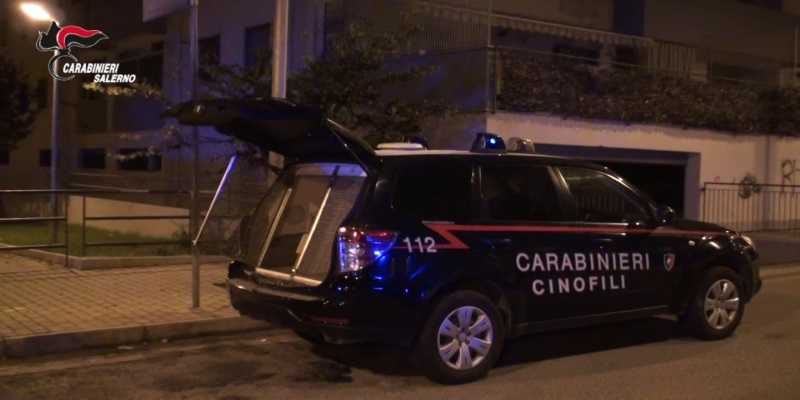 Operazione antidroga dei carabinieri nel Salernitano, 8 arresti