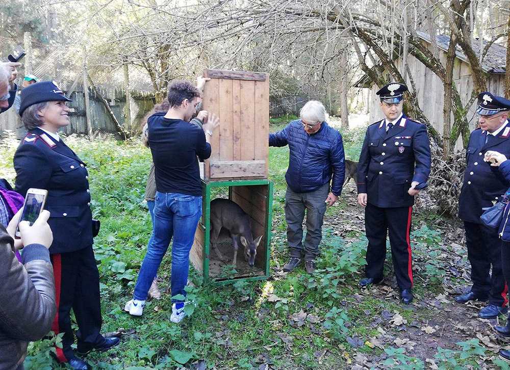 I Carabinieri Forestali aprono le porte di “Foresta Amica 2018”