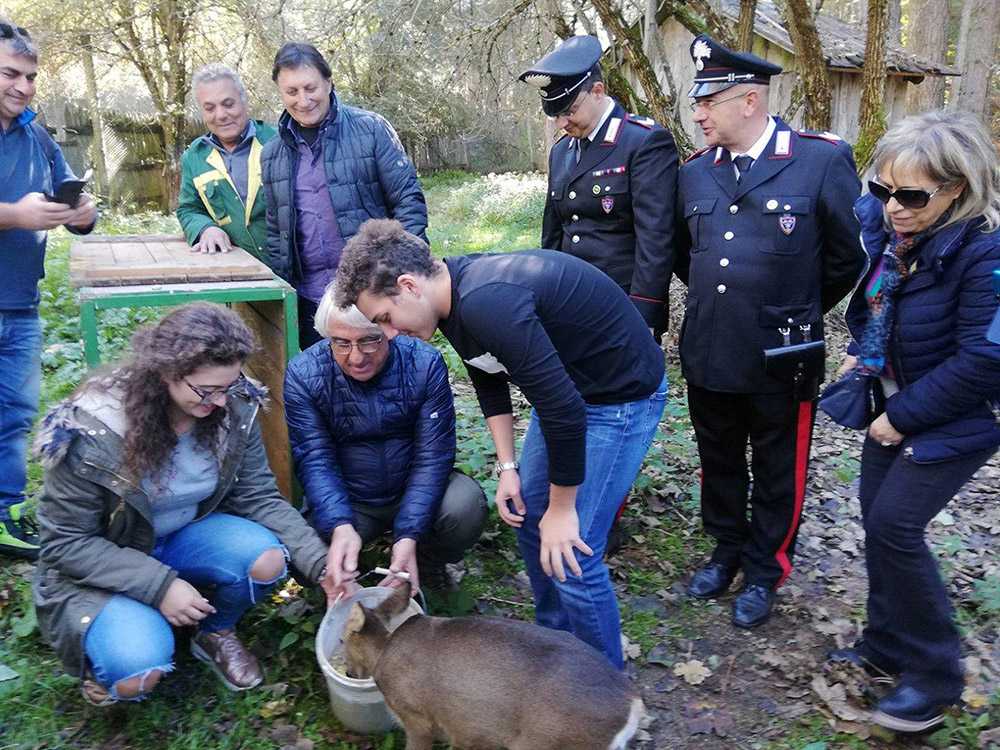 I Carabinieri Forestali aprono le porte di “Foresta Amica 2018”