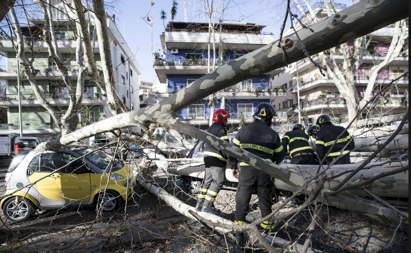 Maltempo: alberi e intonaci caduti a Roma, 120 interventi dei VVF