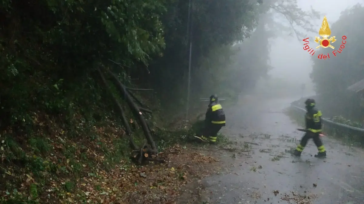 Bollettino dei Vigili del fuoco su danni e allerte maltempo “Foto”