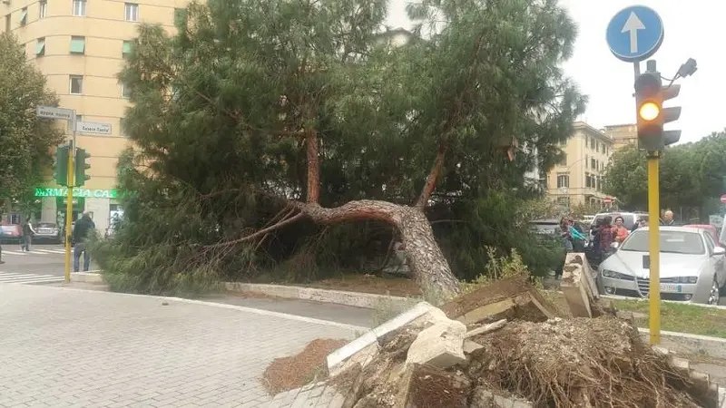 Maltempo: 2 morti nel Frusinate. Domani scuole chiuse a Roma.