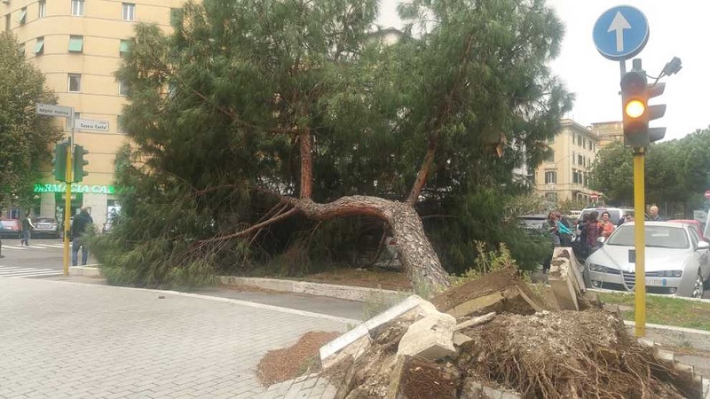 Maltempo: 2 morti nel Frusinate. Domani scuole chiuse a Roma.