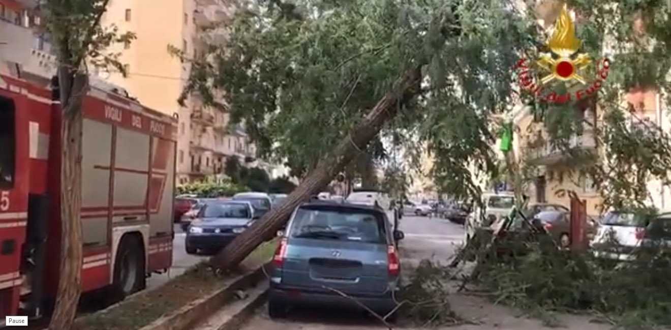 Maltempo: collegamenti in tilt a Palermo, alberi divelti e 3 feriti