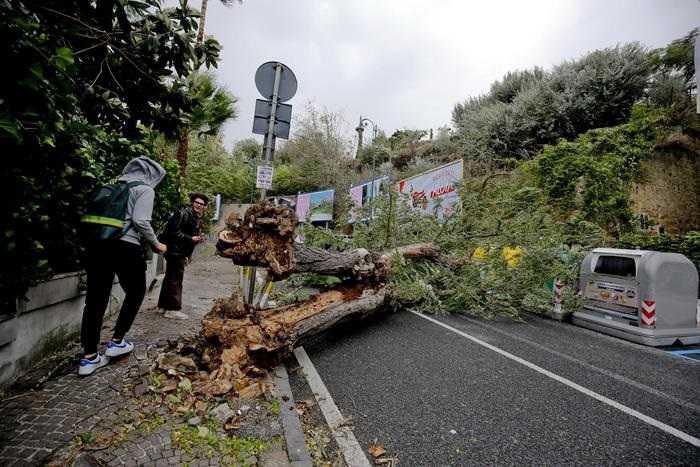 La strage del maltempo: Tragedia, muore 21enne, gli crolla addosso albero a Napoli