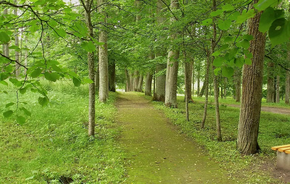 La Natura irrompe nella metropoli con la Biblioteca degli Alberi di Milano