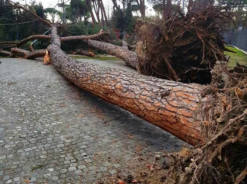 Il maltempo miete altre vittime: 5 morti tra Aosta, Bolzano e Brescia.