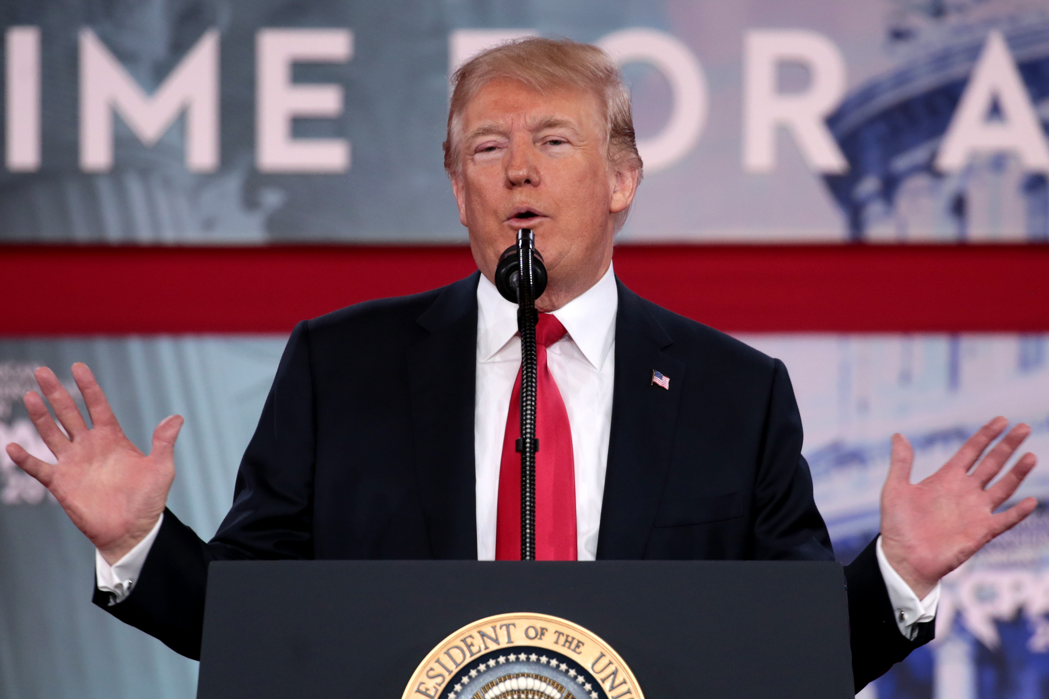 Elezioni di metà mandato: Trump potrebbe perdere la Camera