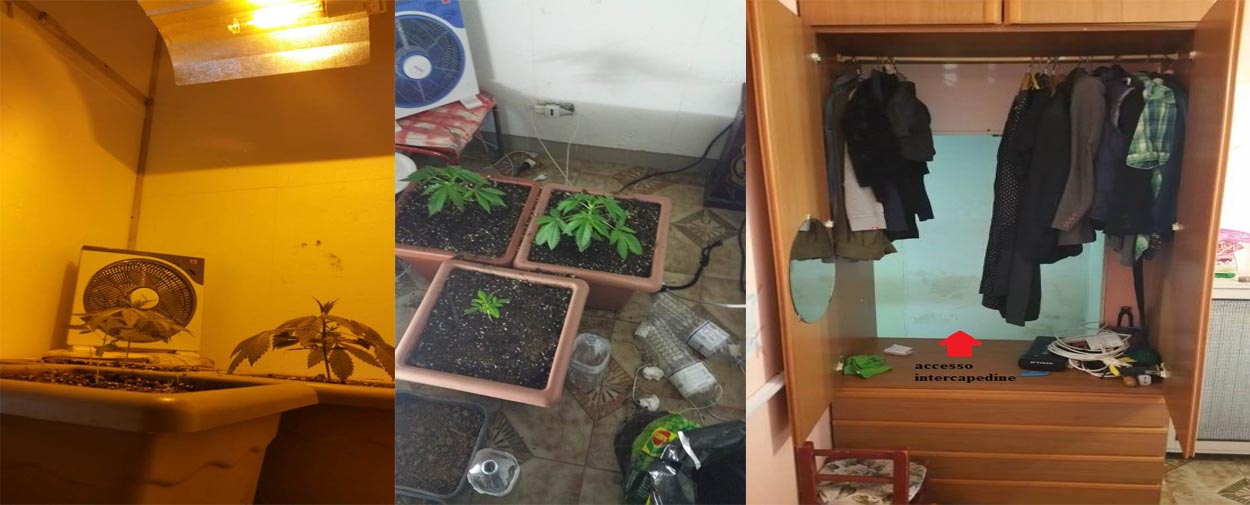Catanzaro, coltivava marjiuana in casa arrestato 56 anni (Foto)