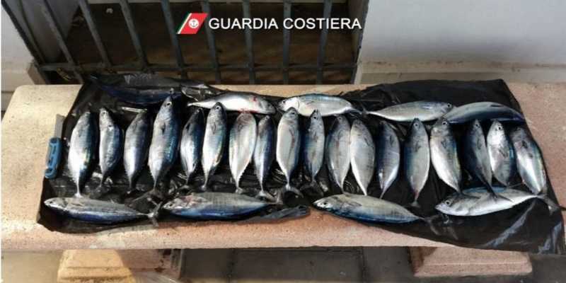 Taranto, traffico di prodotti ittici contaminati, blitz Guardia costiera
