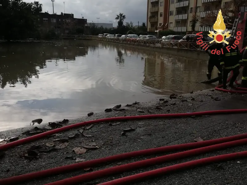Maltempo, bomba d'acqua su Soverato (Cz) intervento dei VVF