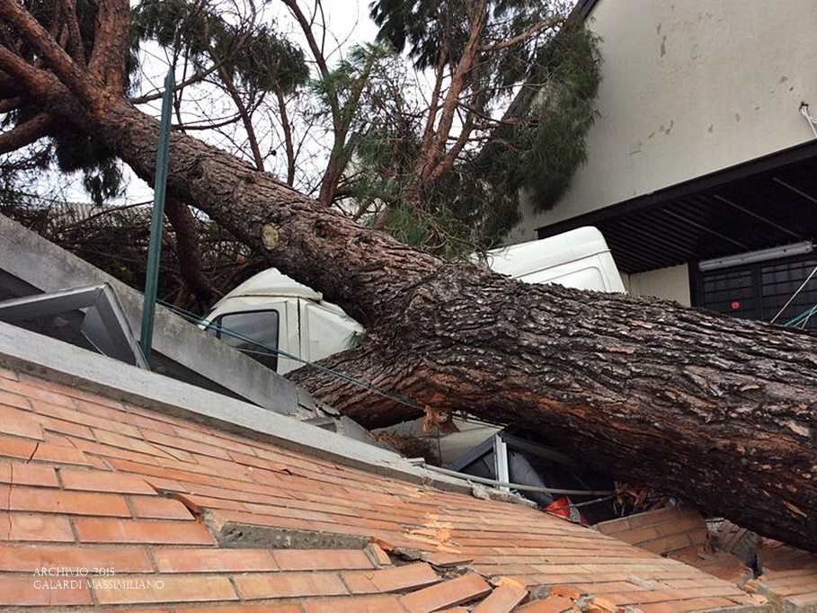 Maltempo: burrasca, vento forte in Calabria, danni in diverse zone