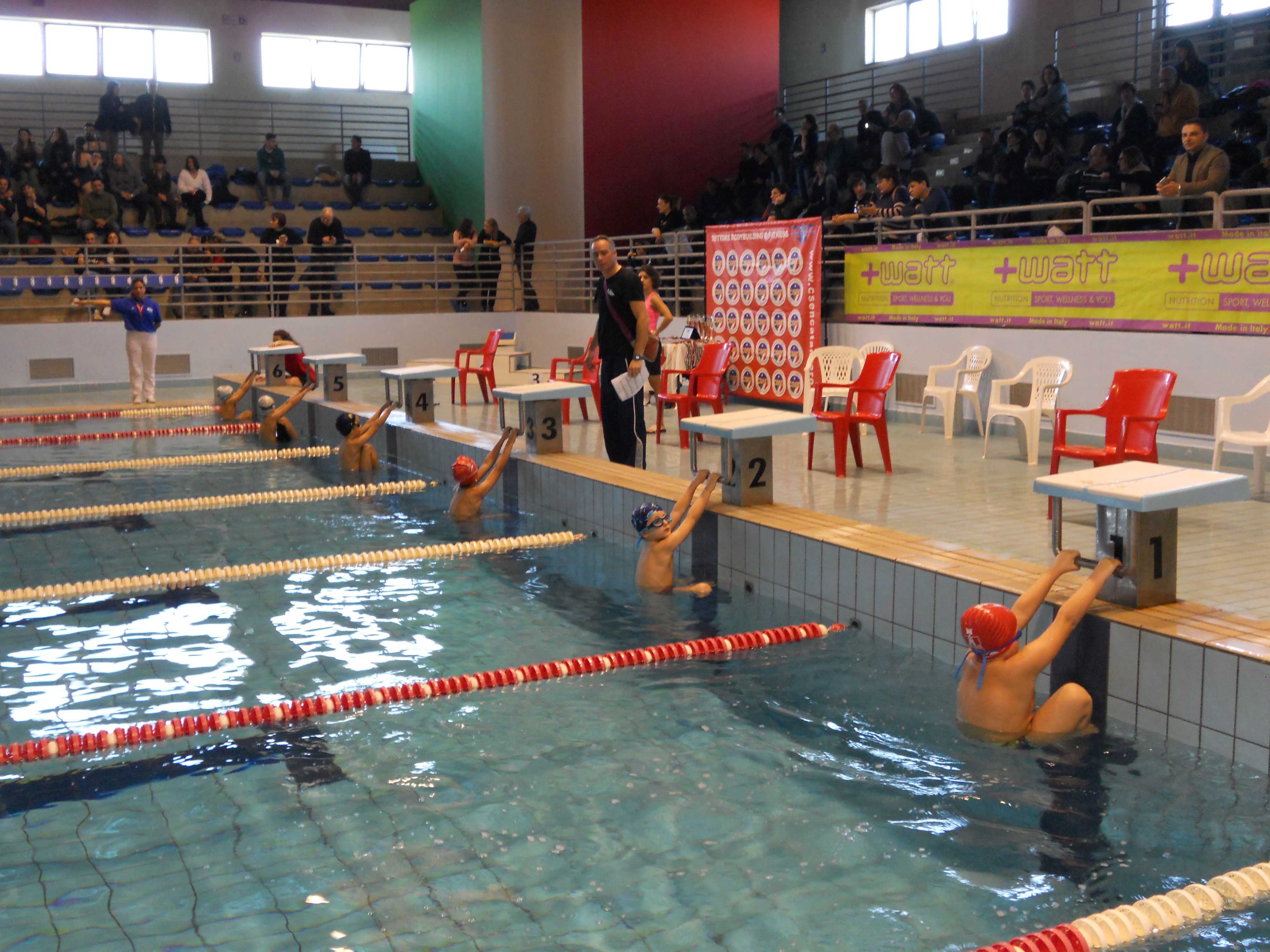 I° Meeting Regionale di Nuoto Gran Prix, vincono sport e integrazione