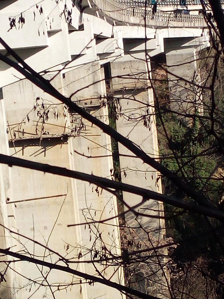 Donna si lancia da cavalcavia autostrada A2, intervenro dei VVF