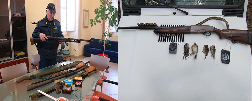 San Giovanni in Fiore. Lotta al bracconaggio, due importanti operazioni della Polizia Provinciale
