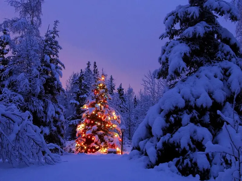 Natale 2018: spesa complessiva di 3,9 miliardi per i regali natalizi